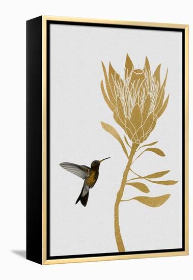 Hummingbird & Flower I-Orara Studio-Framed Premier Image Canvas