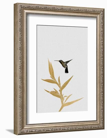 Hummingbird & Flower Ii-Orara Studio-Framed Photographic Print