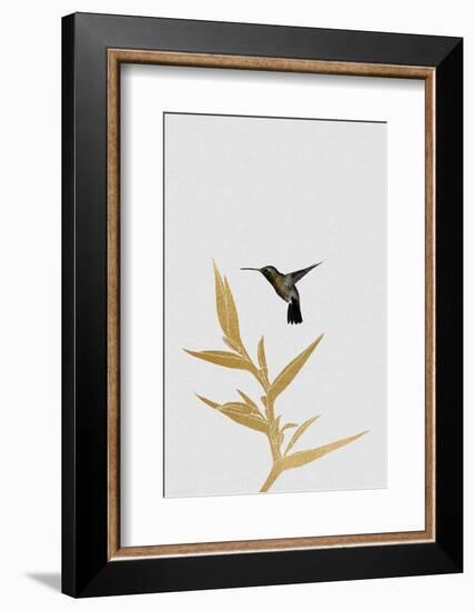 Hummingbird & Flower Ii-Orara Studio-Framed Photographic Print