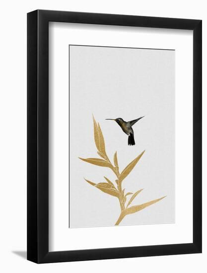 Hummingbird & Flower Ii-Orara Studio-Framed Photographic Print