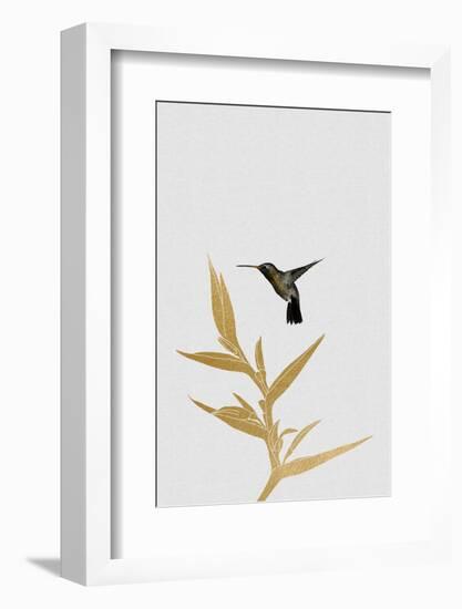 Hummingbird & Flower Ii-Orara Studio-Framed Photographic Print