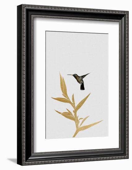 Hummingbird & Flower Ii-Orara Studio-Framed Photographic Print