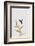 Hummingbird & Flower Ii-Orara Studio-Framed Photographic Print