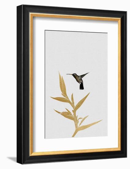 Hummingbird & Flower Ii-Orara Studio-Framed Photographic Print