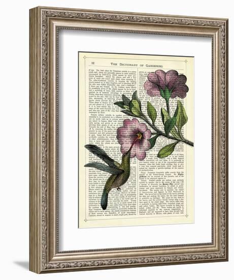 Hummingbird & Flower-Marion Mcconaghie-Framed Art Print