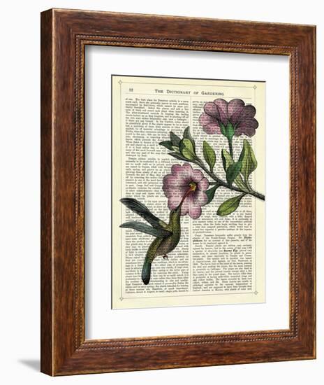 Hummingbird & Flower-Marion Mcconaghie-Framed Art Print