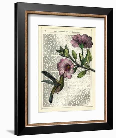 Hummingbird & Flower-Marion Mcconaghie-Framed Art Print