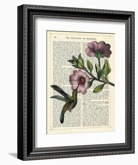 Hummingbird & Flower-Marion Mcconaghie-Framed Art Print