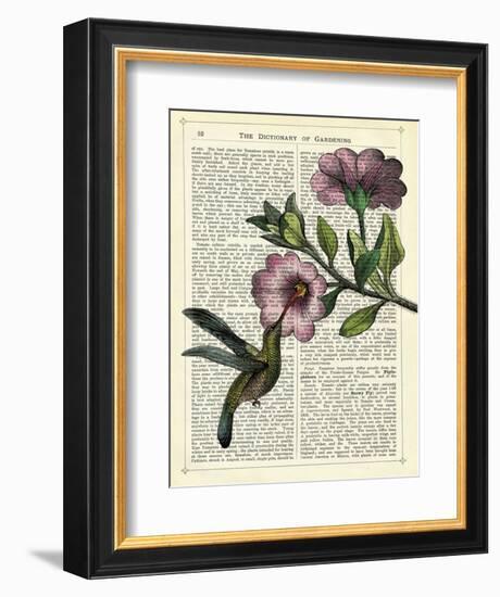 Hummingbird & Flower-Marion Mcconaghie-Framed Art Print