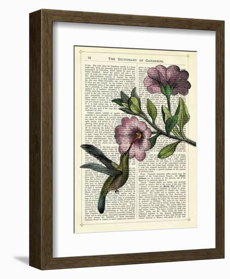 Hummingbird & Flower-Marion Mcconaghie-Framed Art Print