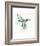 Hummingbird Flurry-Sillier than Sally-Framed Art Print