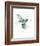 Hummingbird Flurry-Sillier than Sally-Framed Art Print