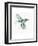 Hummingbird Flurry-Sillier than Sally-Framed Art Print