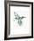 Hummingbird Flurry-Sillier than Sally-Framed Art Print