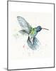 Hummingbird Flurry-Sillier than Sally-Mounted Art Print