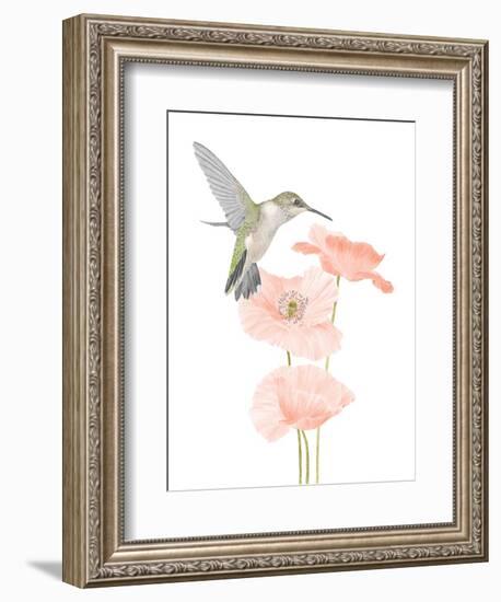 Hummingbird Garden-Stacy Hsu-Framed Art Print