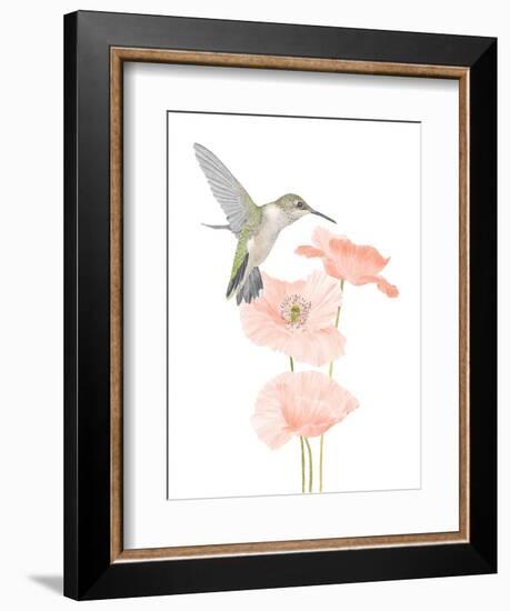 Hummingbird Garden-Stacy Hsu-Framed Art Print