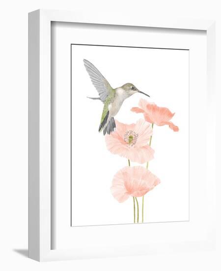 Hummingbird Garden-Stacy Hsu-Framed Art Print