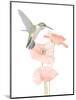 Hummingbird Garden-Stacy Hsu-Mounted Art Print