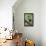 Hummingbird I-Larry Malvin-Framed Premier Image Canvas displayed on a wall