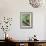 Hummingbird I-Larry Malvin-Framed Photographic Print displayed on a wall