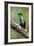 Hummingbird I-Larry Malvin-Framed Photographic Print