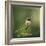 Hummingbird in the Garden-Jai Johnson-Framed Giclee Print