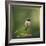 Hummingbird in the Garden-Jai Johnson-Framed Giclee Print