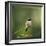 Hummingbird in the Garden-Jai Johnson-Framed Giclee Print