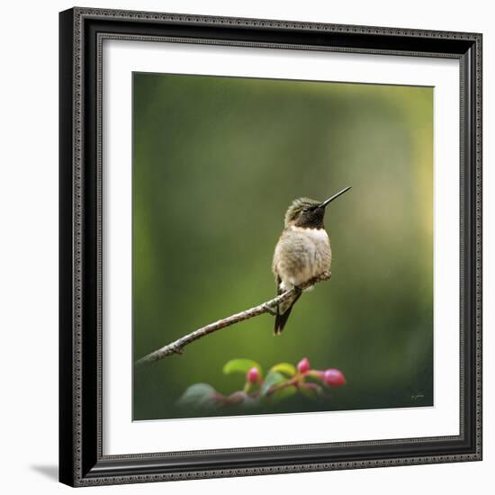 Hummingbird in the Garden-Jai Johnson-Framed Giclee Print