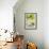 Hummingbird Nest-Karyn Millet-Framed Photographic Print displayed on a wall