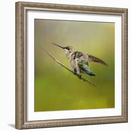 Hummingbird on Lime-Jai Johnson-Framed Giclee Print