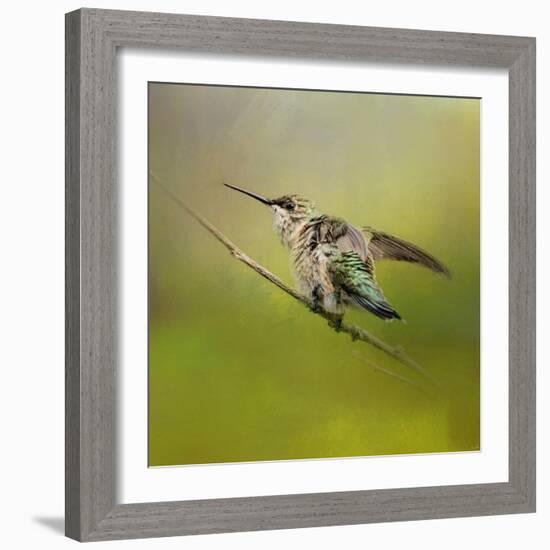 Hummingbird on Lime-Jai Johnson-Framed Giclee Print