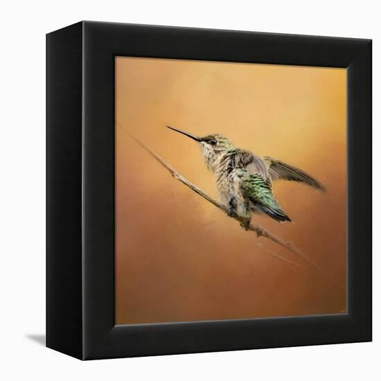 Hummingbird on Peach-Jai Johnson-Framed Premier Image Canvas