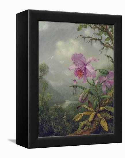 Hummingbird Perched on an Orchid Plant, 1901-Martin Johnson Heade-Framed Premier Image Canvas