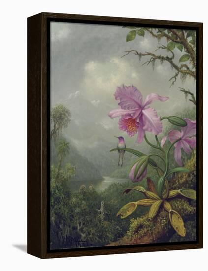 Hummingbird Perched on an Orchid Plant, 1901-Martin Johnson Heade-Framed Premier Image Canvas