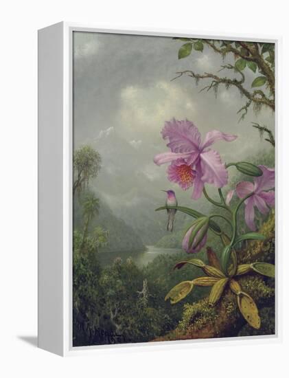 Hummingbird Perched on an Orchid Plant, 1901-Martin Johnson Heade-Framed Premier Image Canvas