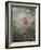 Hummingbird Perched on an Orchid Plant, 1901-Martin Johnson Heade-Framed Giclee Print