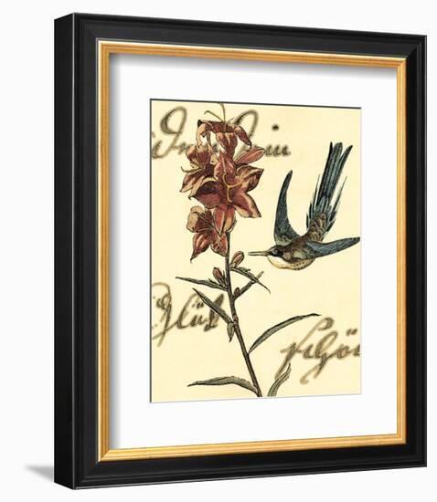 Hummingbird Reverie IV-null-Framed Art Print