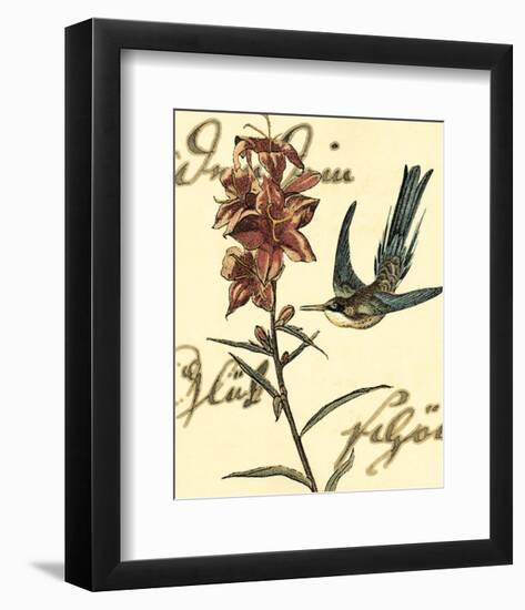 Hummingbird Reverie IV-null-Framed Art Print