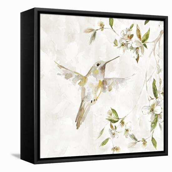 Hummingbird Song I-Carol Robinson-Framed Stretched Canvas