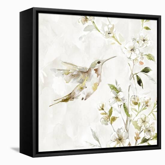 Hummingbird Song III-Carol Robinson-Framed Stretched Canvas