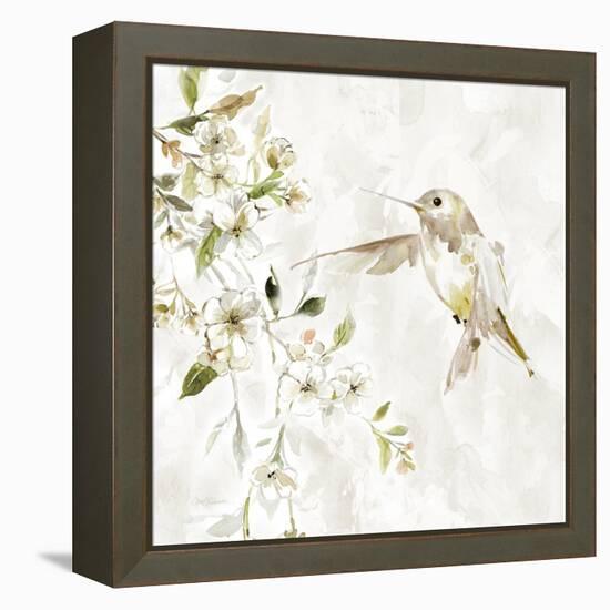 Hummingbird Song IV-Carol Robinson-Framed Stretched Canvas