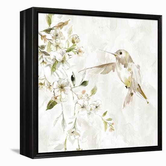 Hummingbird Song IV-Carol Robinson-Framed Stretched Canvas