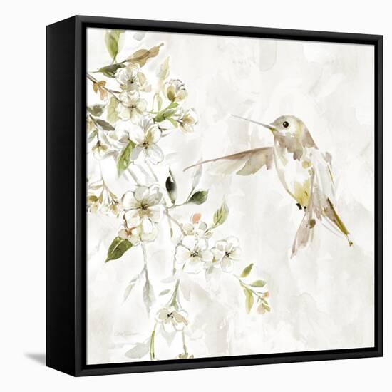 Hummingbird Song IV-Carol Robinson-Framed Stretched Canvas