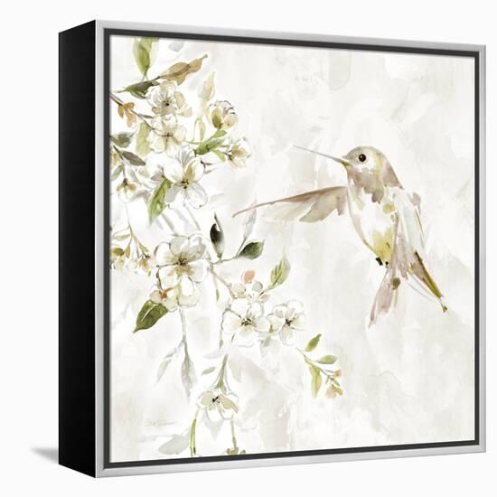 Hummingbird Song IV-Carol Robinson-Framed Stretched Canvas