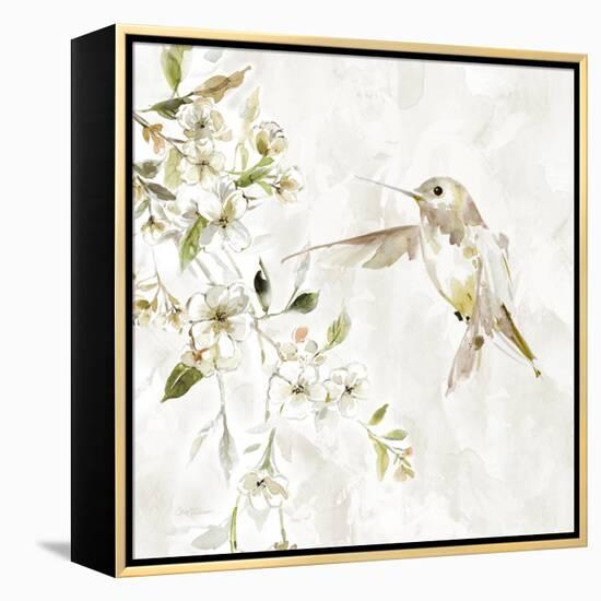 Hummingbird Song IV-Carol Robinson-Framed Stretched Canvas