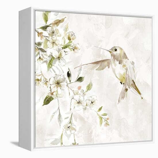 Hummingbird Song IV-Carol Robinson-Framed Stretched Canvas