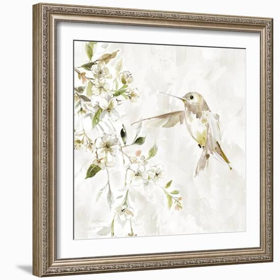 Hummingbird Song IV-Carol Robinson-Framed Art Print