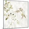 Hummingbird Song IV-Carol Robinson-Mounted Art Print
